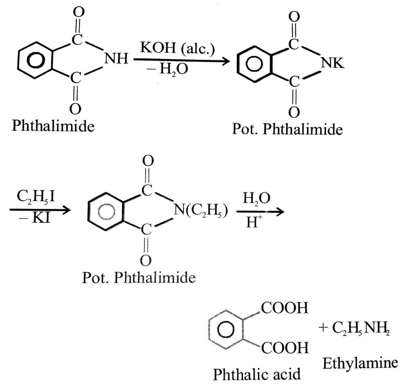 In this reaction phthalimide is converted into its potassium salt by