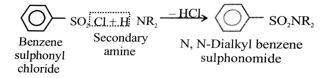 A tertiary amine does not react with benzene sulponyls