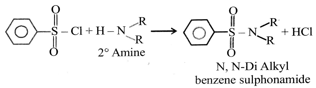 Hinsberg to primary (1° Amine)