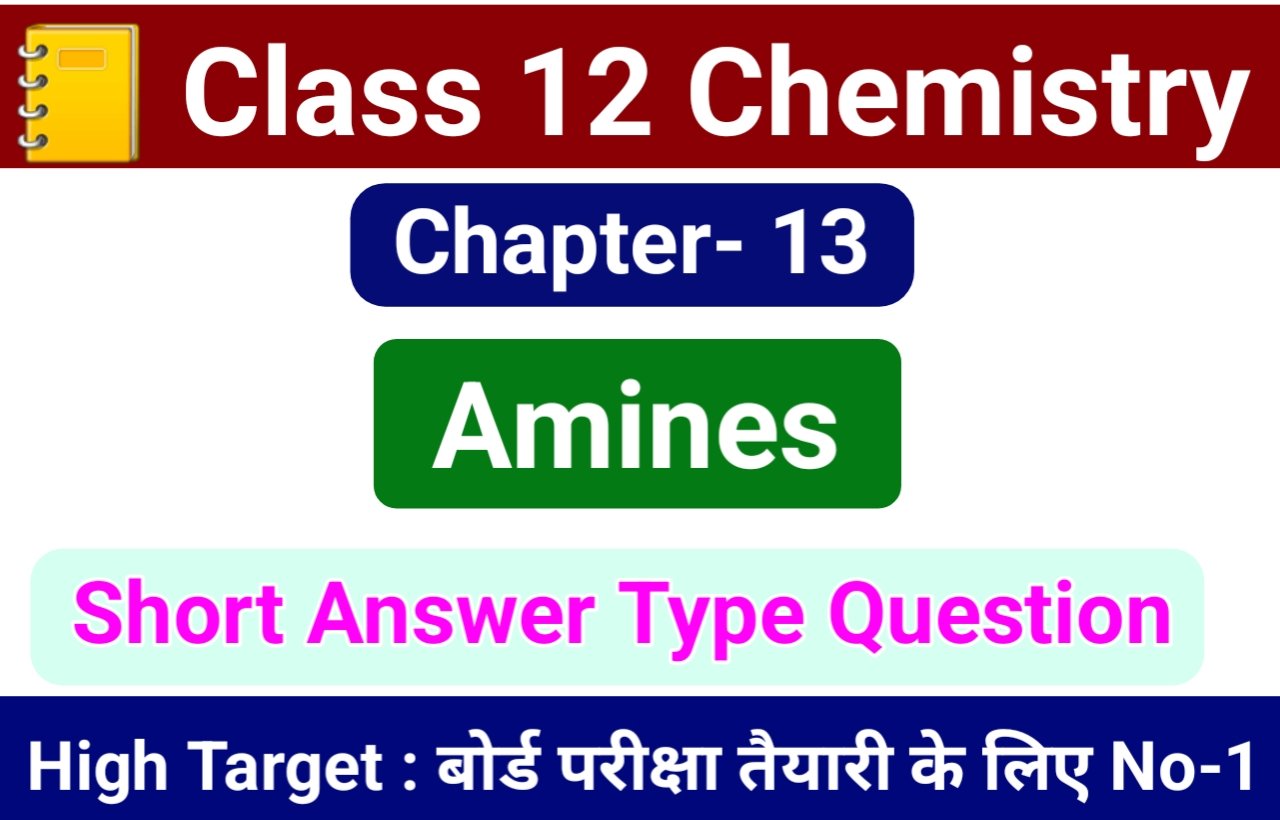Class 12 Chemistry Chapter 13 Amines