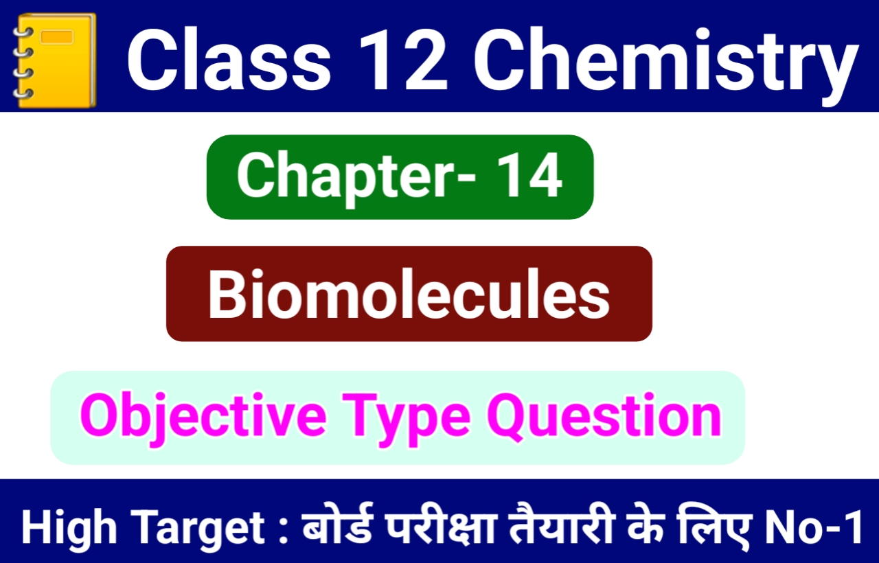 Class 12 Chemistry Chapter 14 Biomolecules